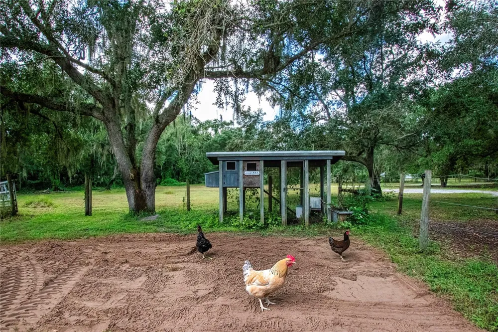 1220 BUTCH CASSIDY TRAIL Wimauma, FL 33598