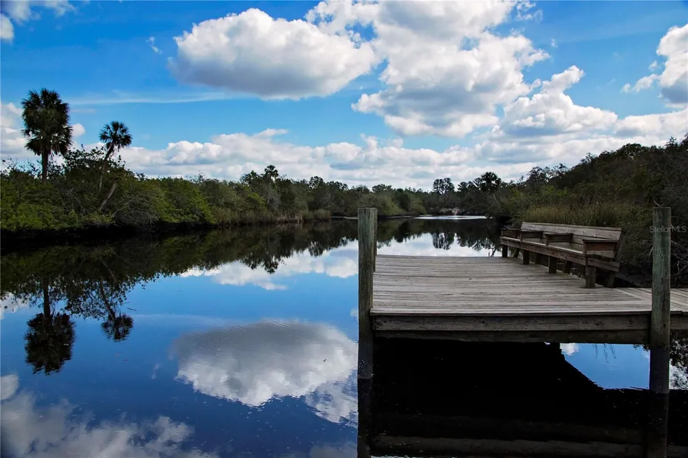 1220 BUTCH CASSIDY TRAIL Wimauma, FL 33598
