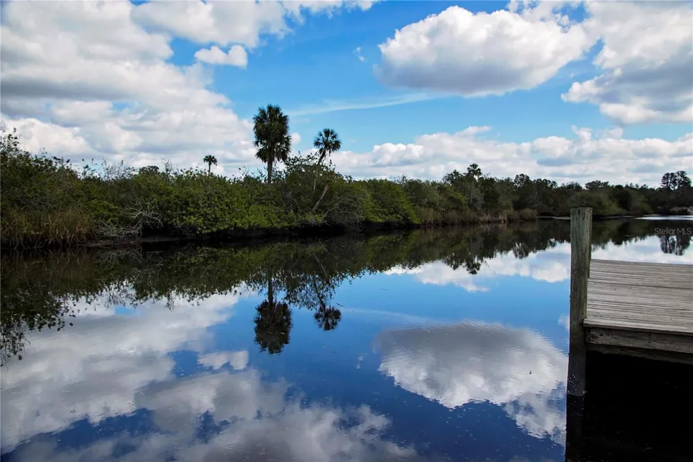 1220 BUTCH CASSIDY TRAIL Wimauma, FL 33598
