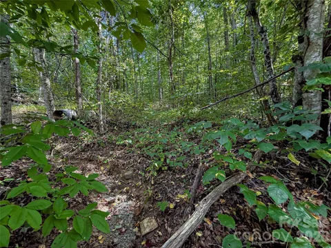 99999 High Top Mountain Road #Lot 1