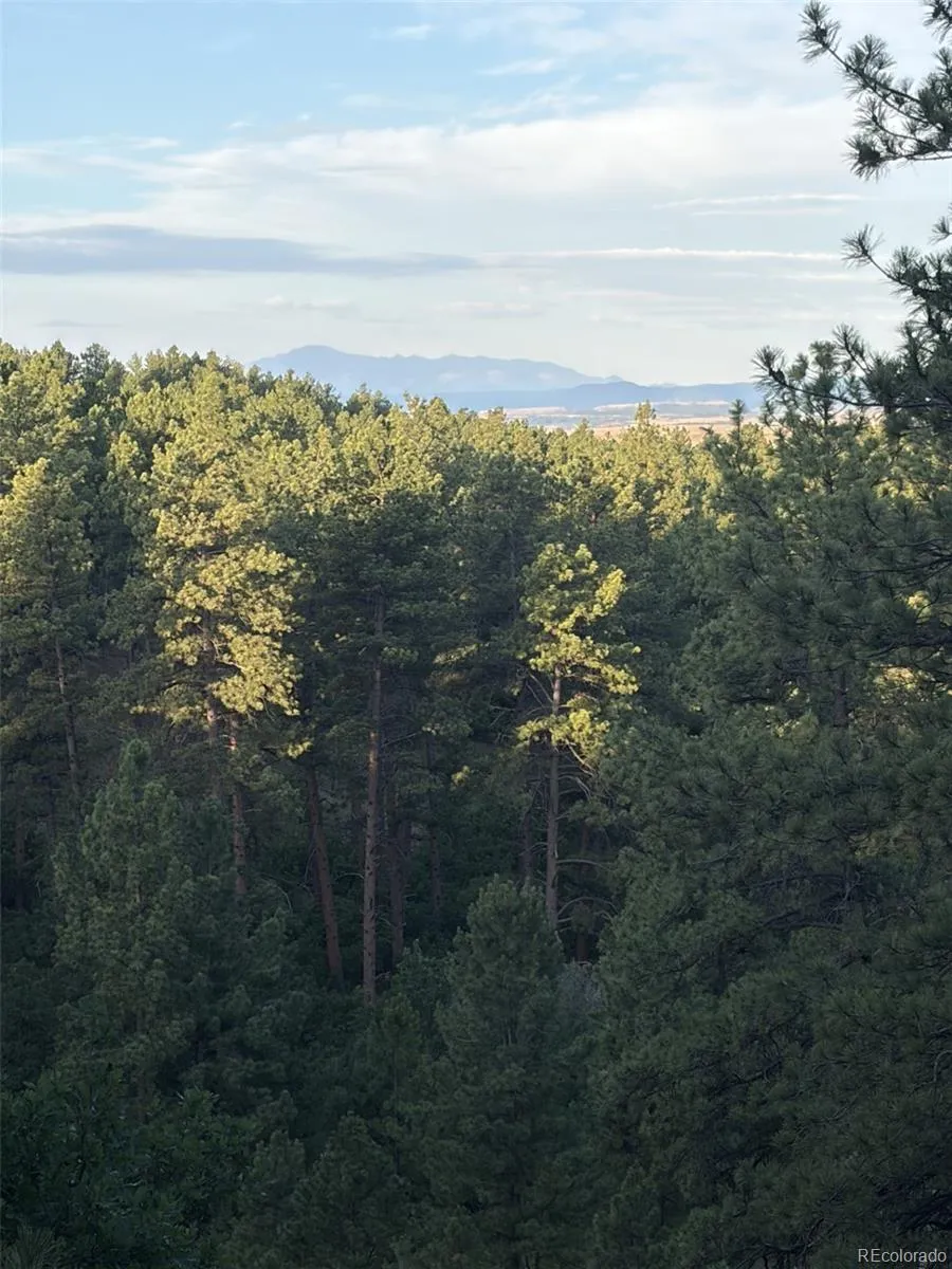 10996 Deerfield Road Franktown, CO 80116