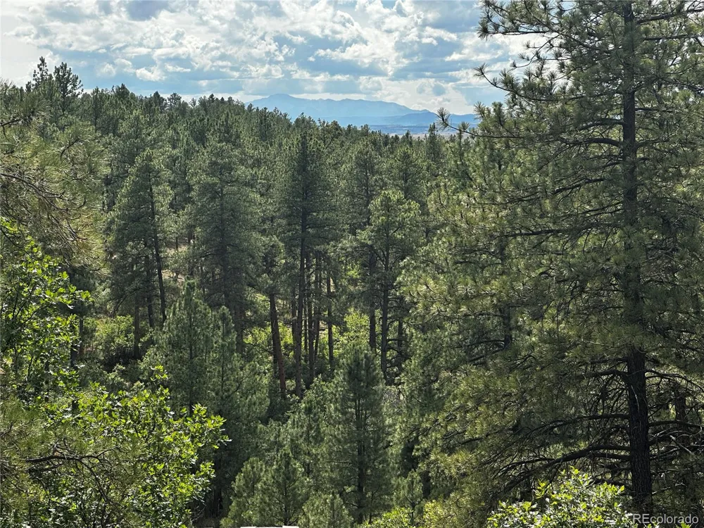 10996 Deerfield Road Franktown, CO 80116
