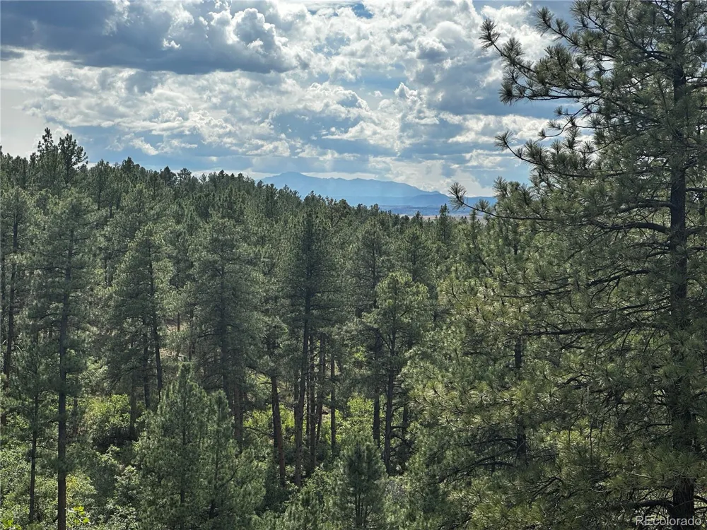 10996 Deerfield Road Franktown, CO 80116