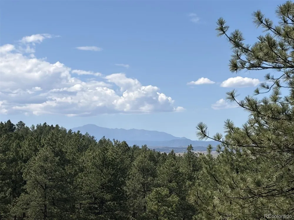 10996 Deerfield Road Franktown, CO 80116