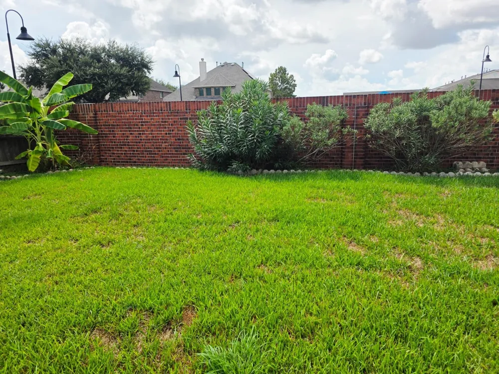 27419 Canyon Reach Dr Katy, TX 77494