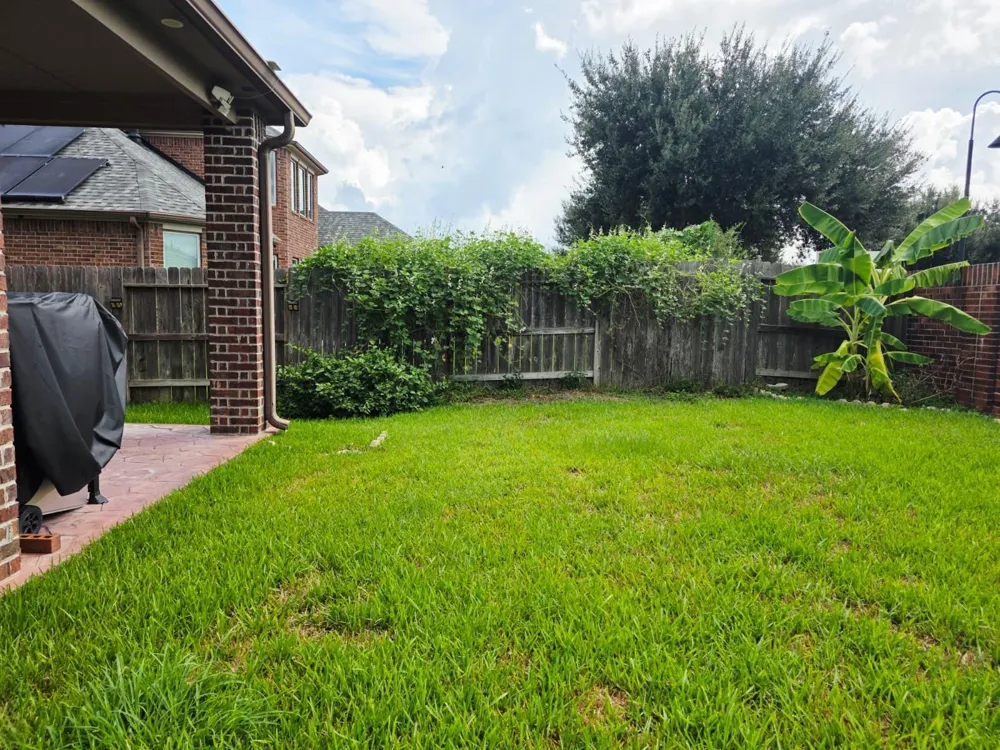 27419 Canyon Reach Dr Katy, TX 77494