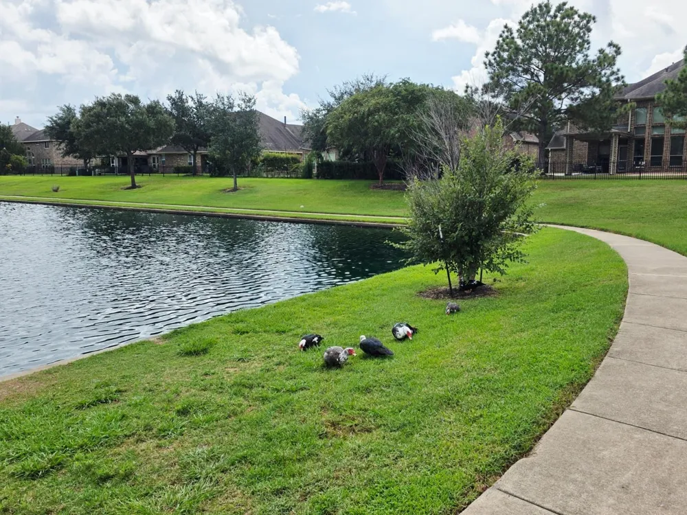 27419 Canyon Reach Dr Katy, TX 77494