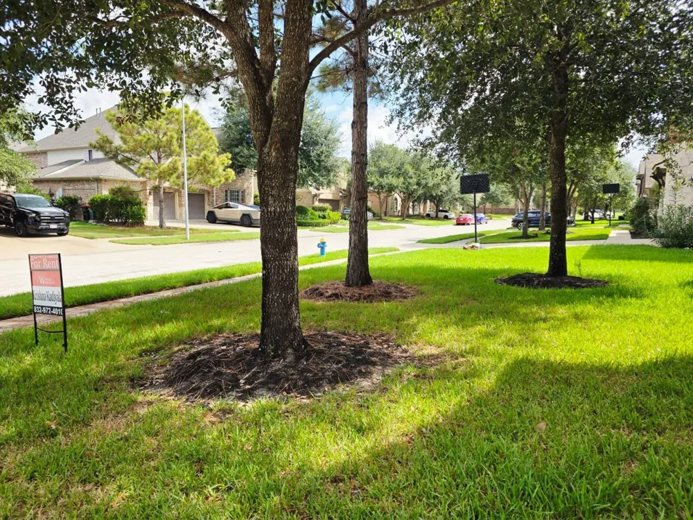 27419 Canyon Reach Dr Katy, TX 77494
