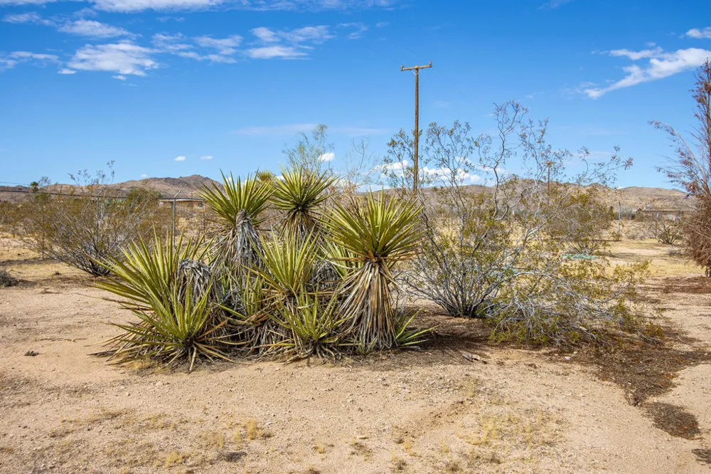 1959 Yetters Lane Landers, CA 92285