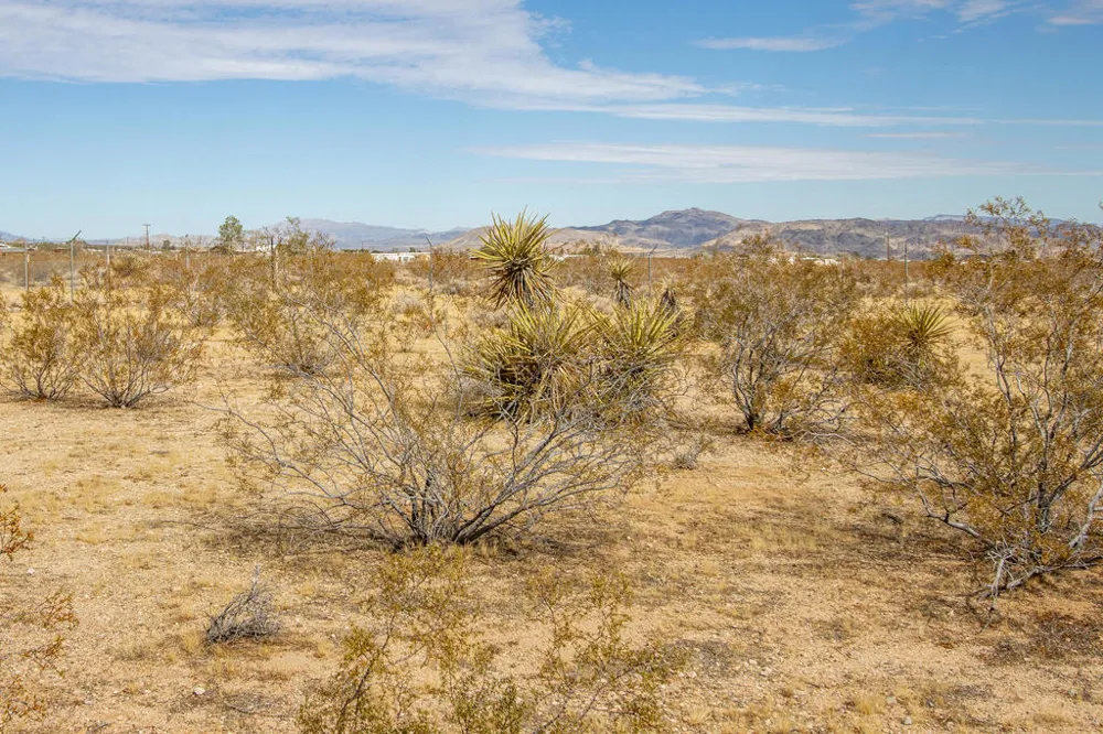 1959 Yetters Lane Landers, CA 92285