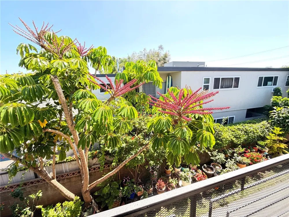 1808 10th Street #D Santa Monica, CA 90404