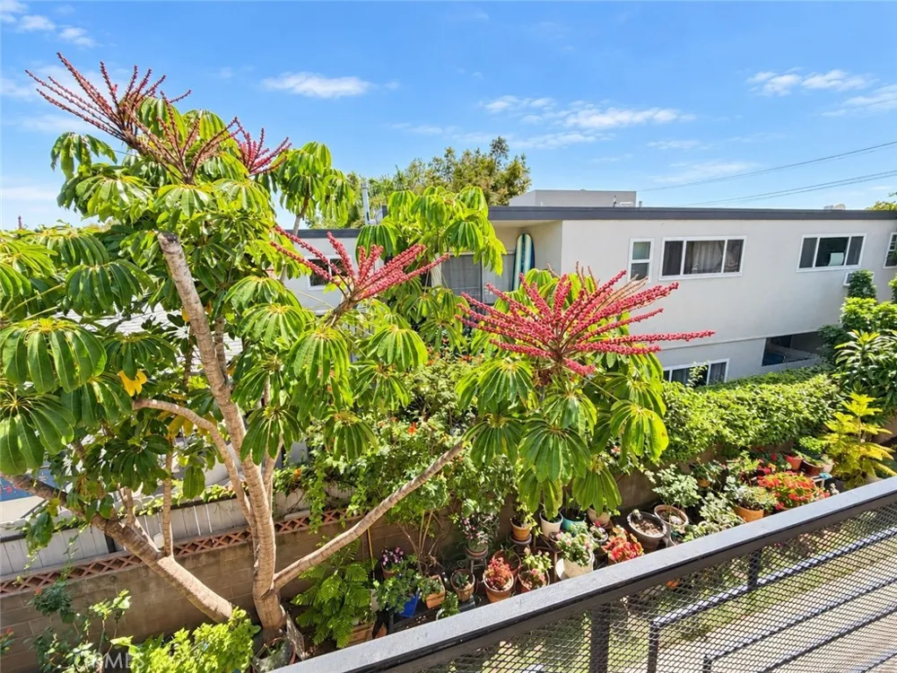 1808 10th Street #F Santa Monica, CA 90404