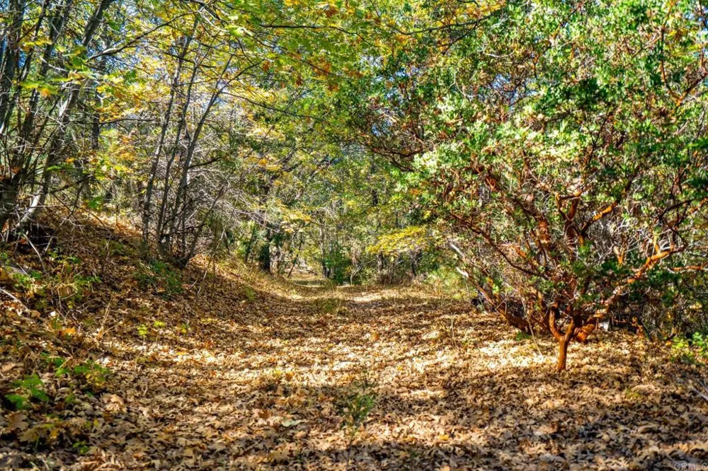 2810 Three Peaks Lane Julian, CA 92036