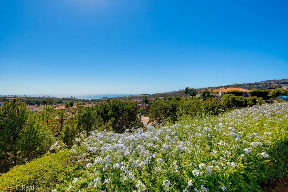 34 Corniche #D Dana Point, CA 92629