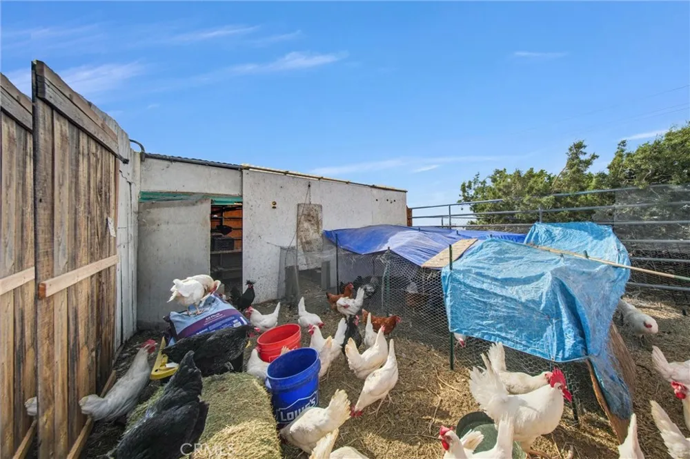 10392 Cima Mesa Road Juniper Hills, CA 93543