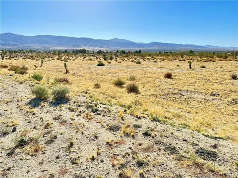 11975 Primavera Road