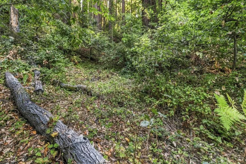 1 Pringle Soquel, CA 95073