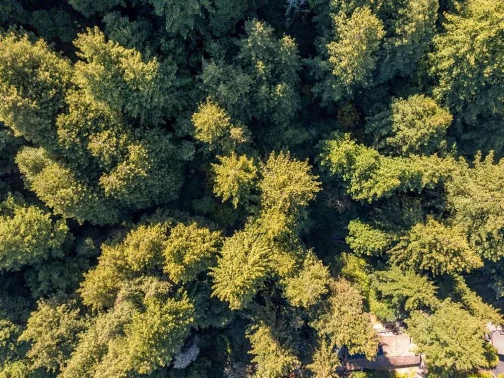 1 Pringle Soquel, CA 95073