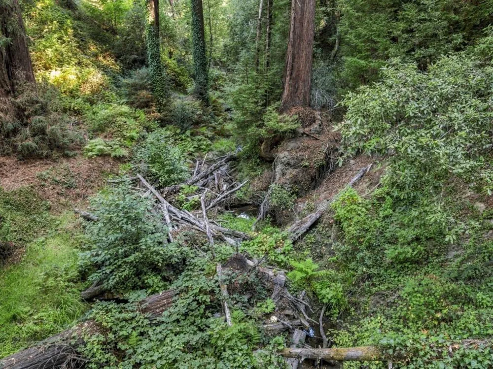1 Pringle Soquel, CA 95073