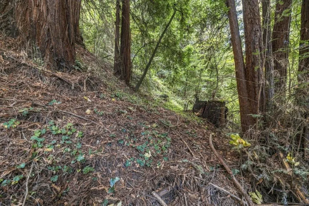 1 Pringle Soquel, CA 95073