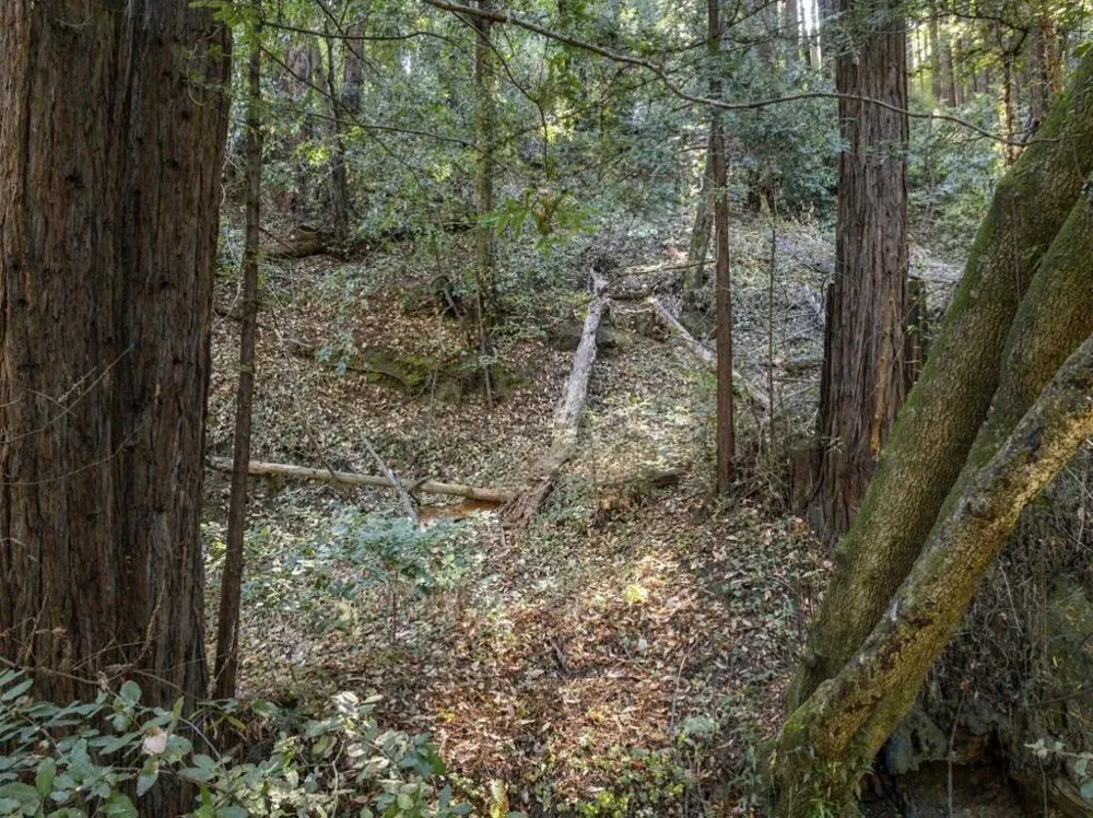 1 Pringle Soquel, CA 95073