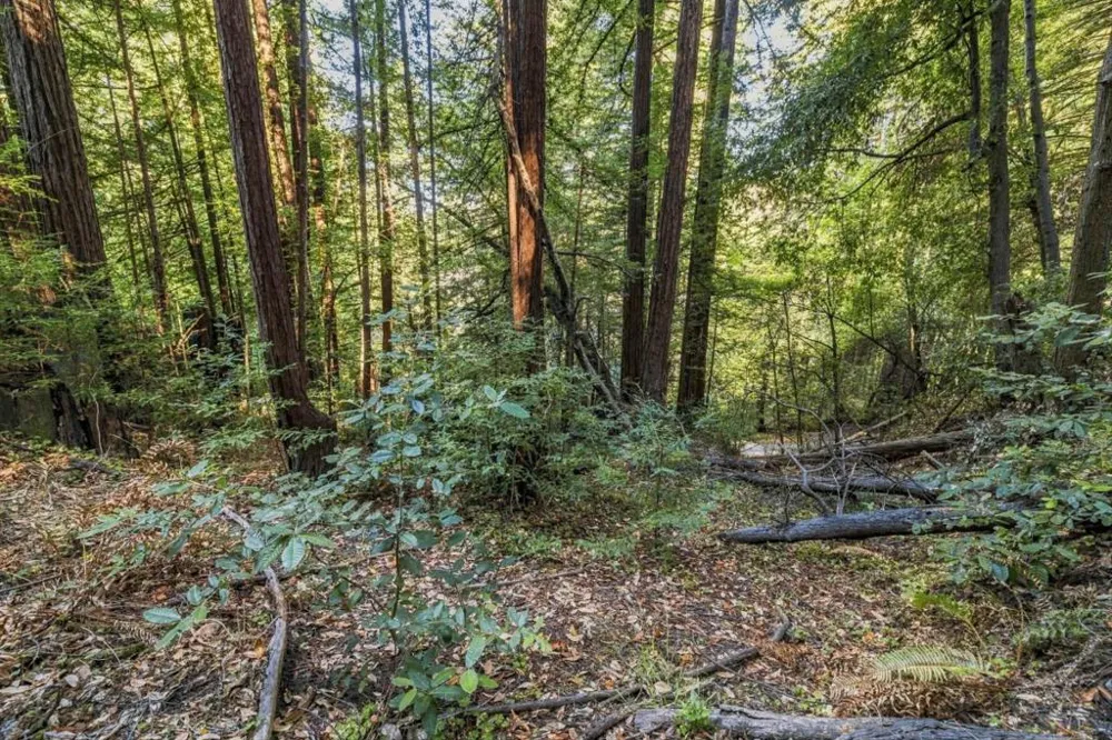 1 Pringle Soquel, CA 95073