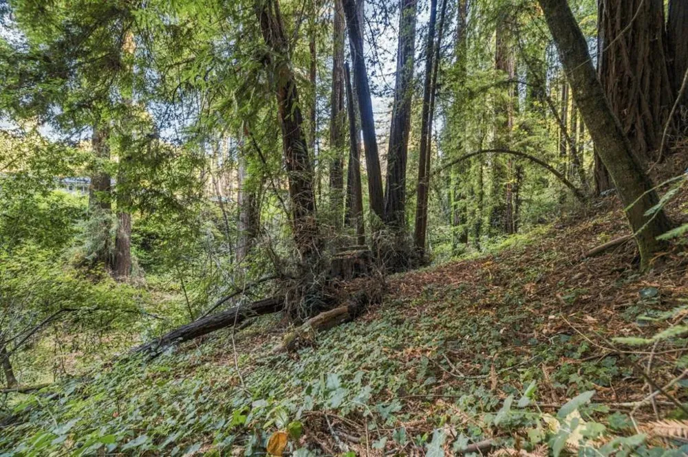 1 Pringle Soquel, CA 95073