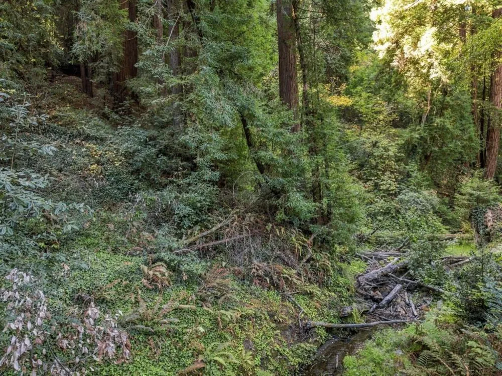 1 Pringle Soquel, CA 95073