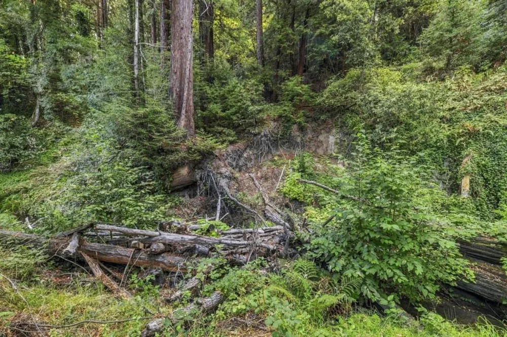1 Pringle Soquel, CA 95073