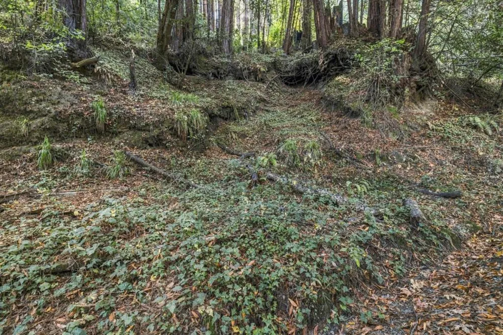 1 Pringle Soquel, CA 95073
