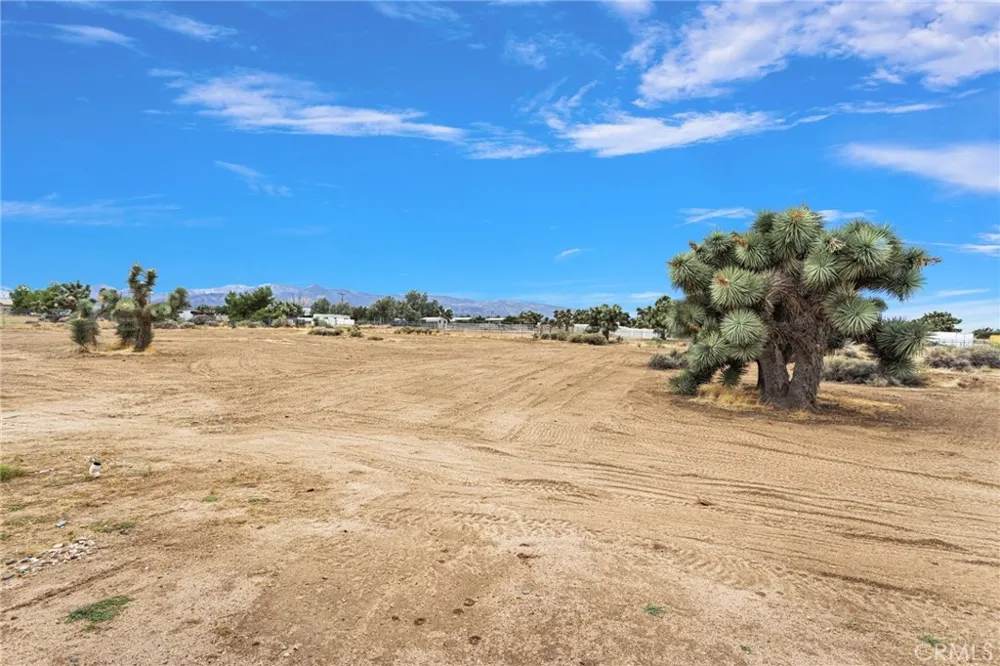 10432 Atsina Phelan, CA 92371