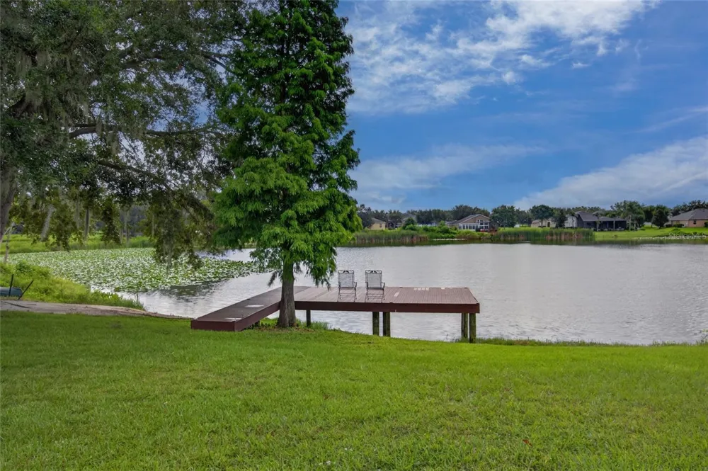 906 RETRIEVER AVENUE Seffner, FL 33584