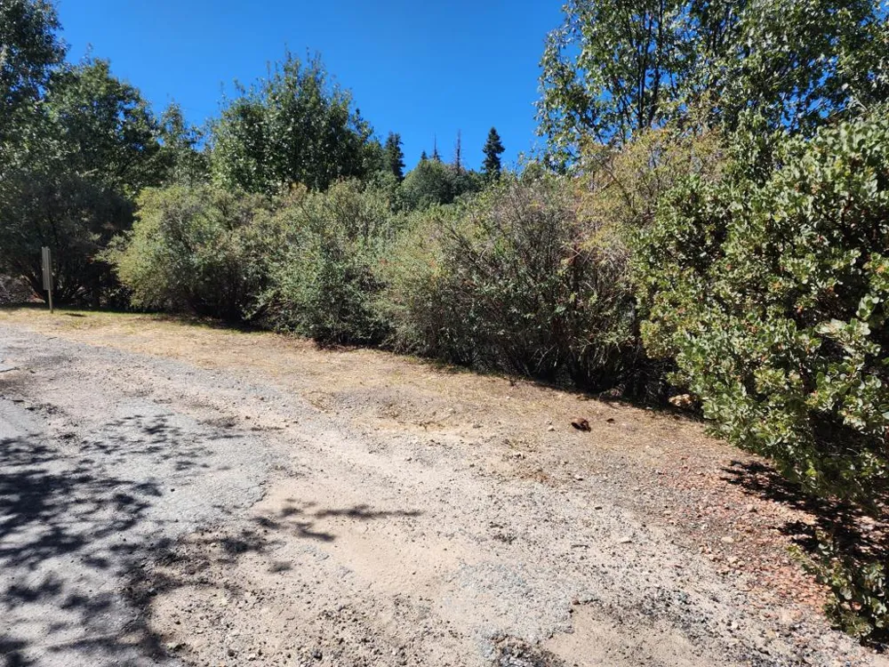 522 Elder Drive Cedar Glen, CA 92321