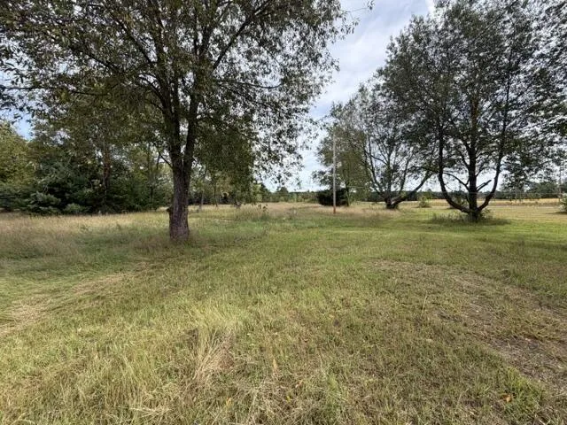 2906 S 33 ROAD Selma Township, MI 49601