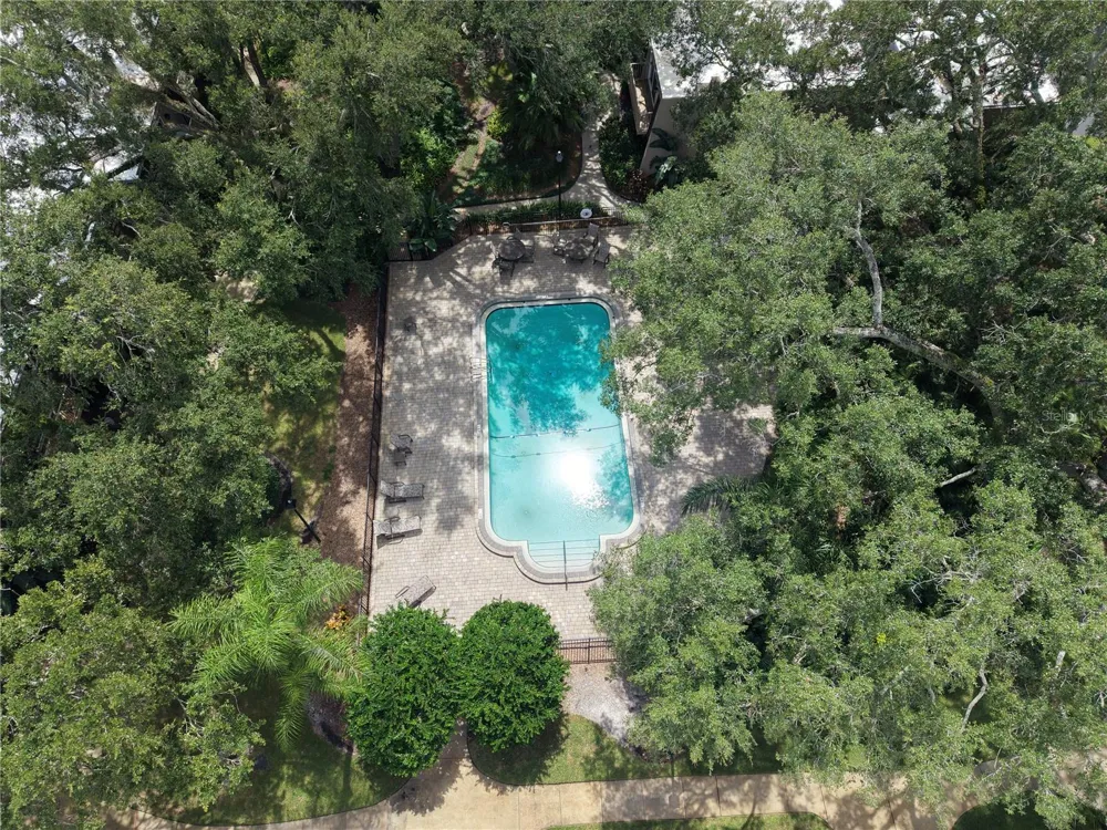3714 CARROLLBROOK ROAD Tampa, FL 33618
