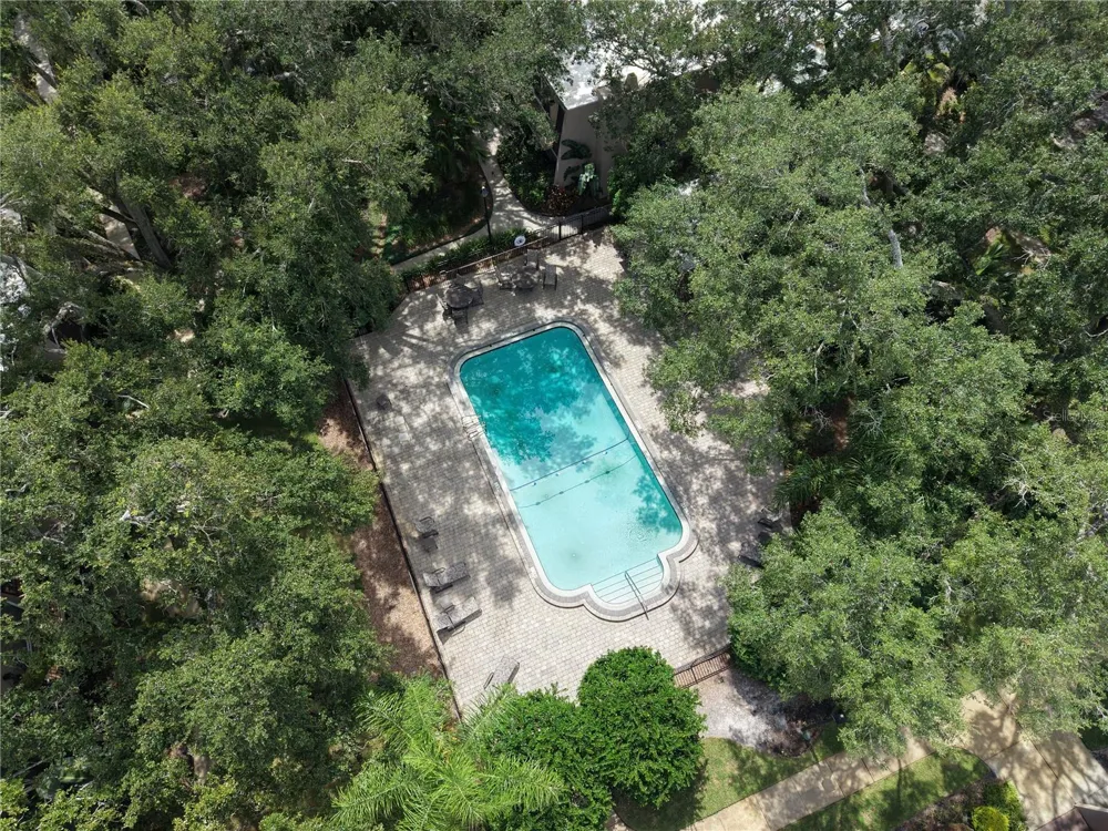 3714 CARROLLBROOK ROAD Tampa, FL 33618