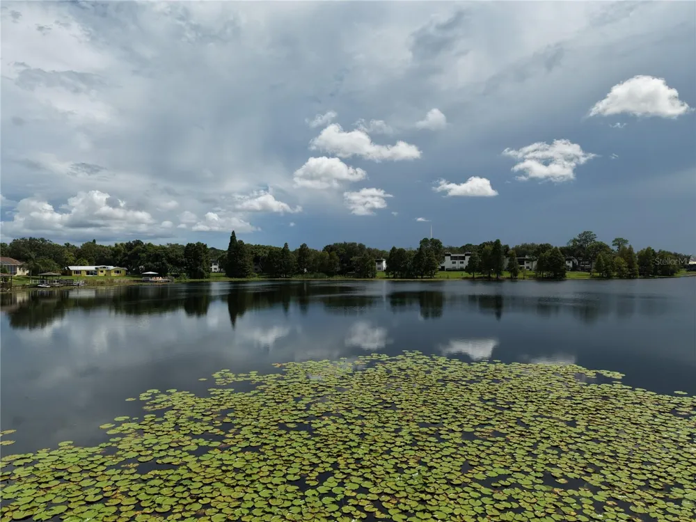 3714 CARROLLBROOK ROAD Tampa, FL 33618