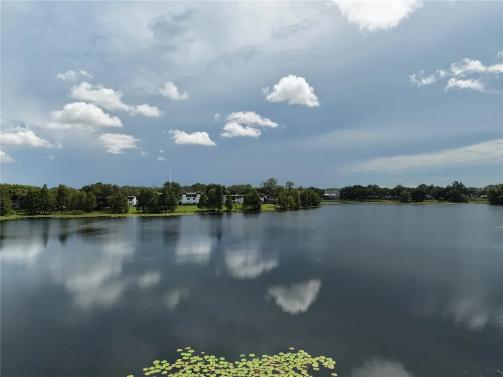 3714 CARROLLBROOK ROAD Tampa, FL 33618
