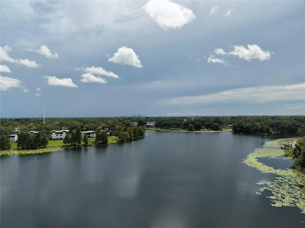 3714 CARROLLBROOK ROAD Tampa, FL 33618