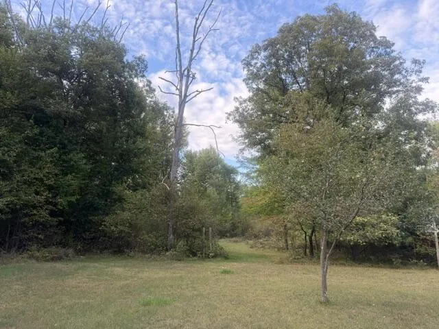 1505 E Van Buren Street Wilcox Township, MI 49349