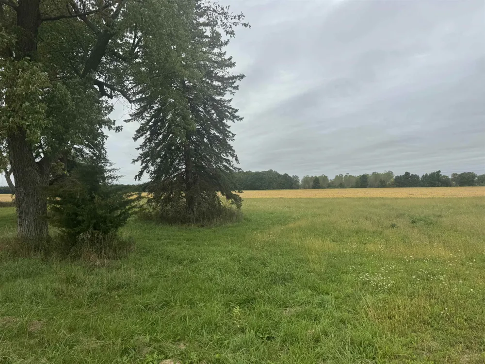 6347 State Road New Haven Township, MI 48867