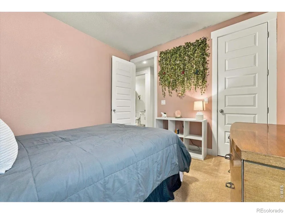 1962 Raindrop Drive Windsor, CO 80550