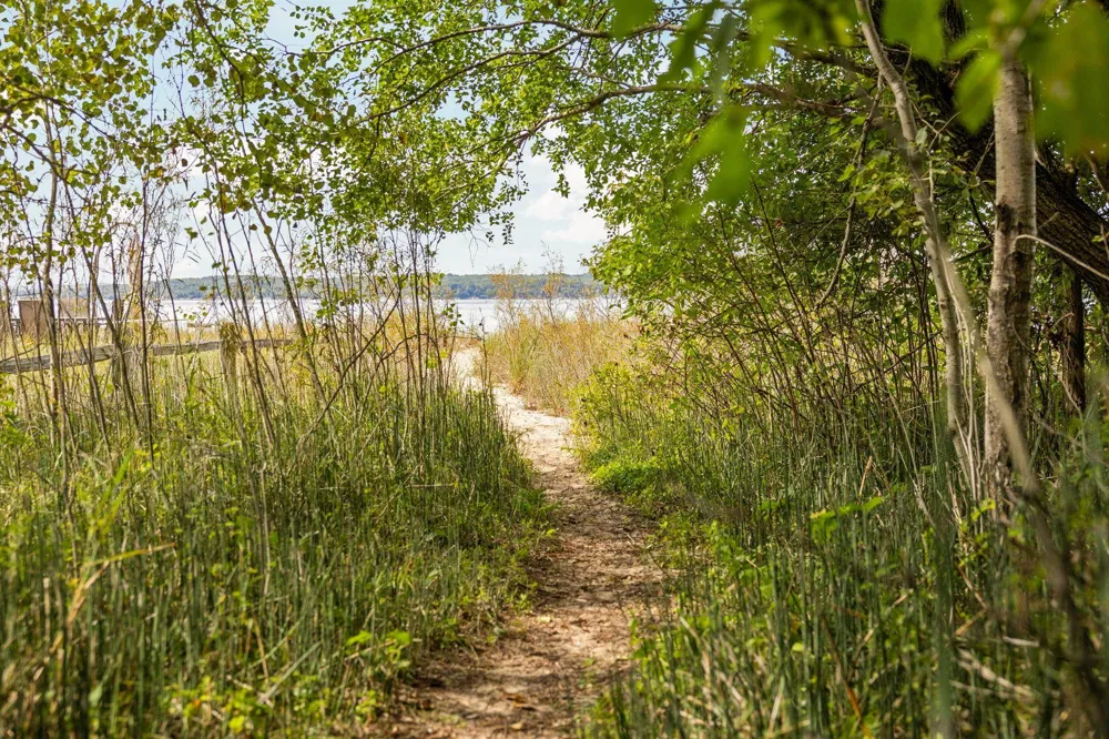 7380 Deepwater Point Acme Township, MI 49690