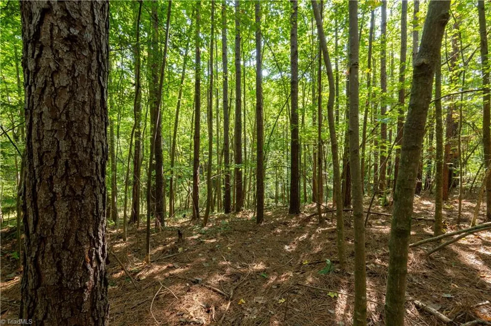 2643 Roberts Chapel Road Goldston, NC 27252