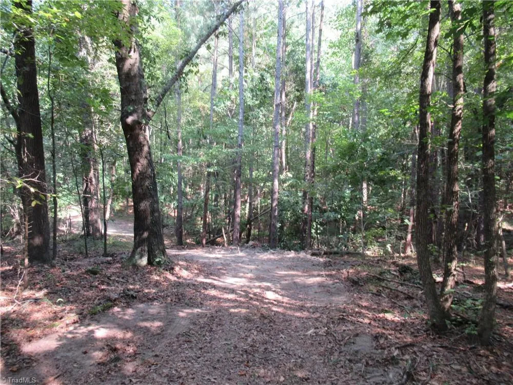 2643 Roberts Chapel Road Goldston, NC 27252