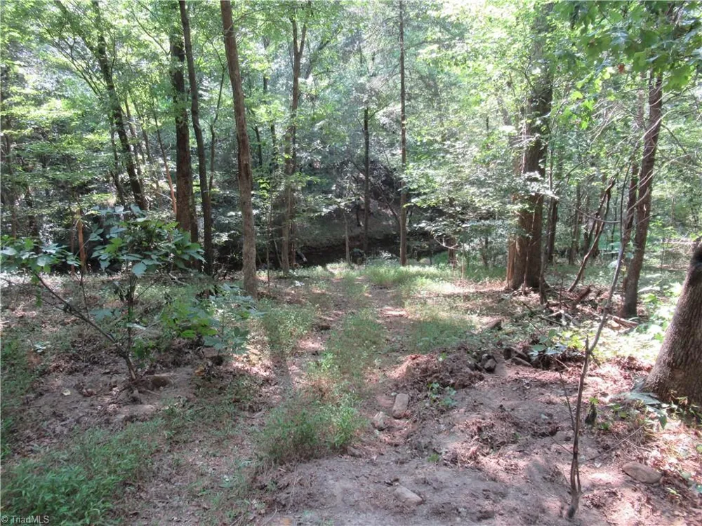 2643 Roberts Chapel Road Goldston, NC 27252