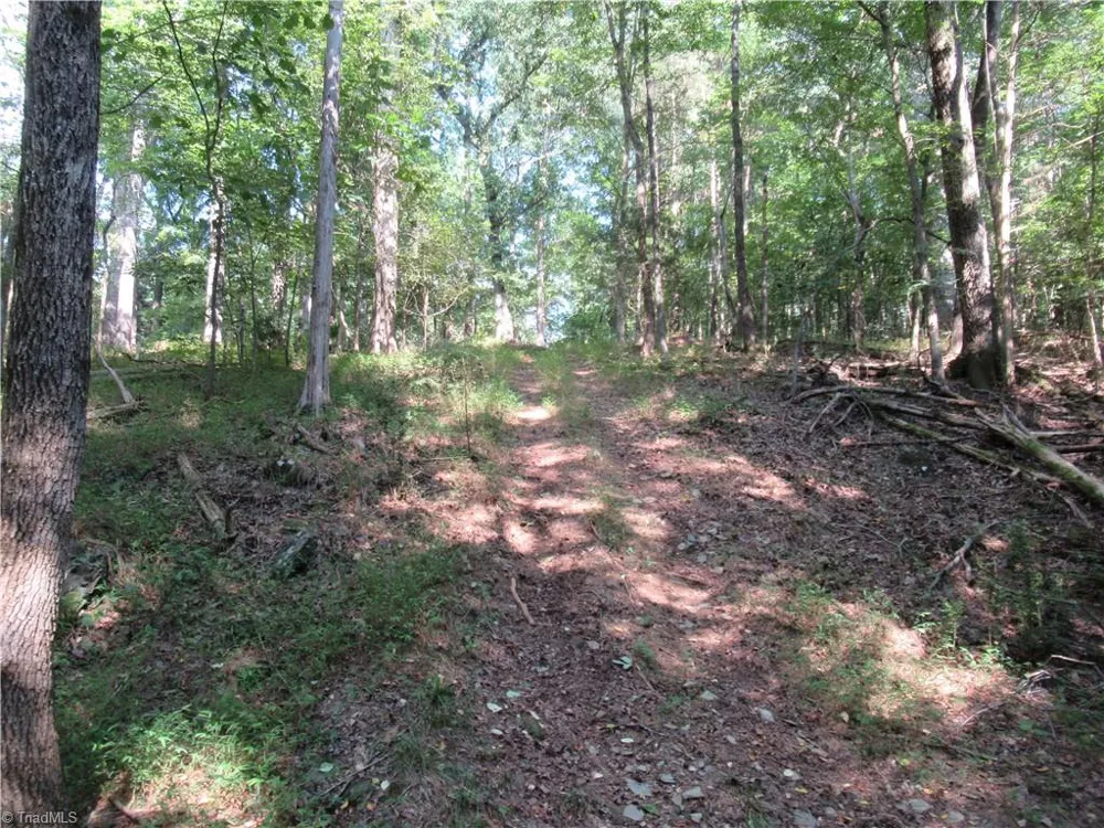 2643 Roberts Chapel Road Goldston, NC 27252