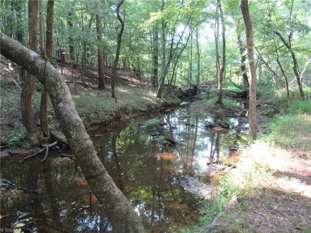 2643 Roberts Chapel Road Goldston, NC 27252