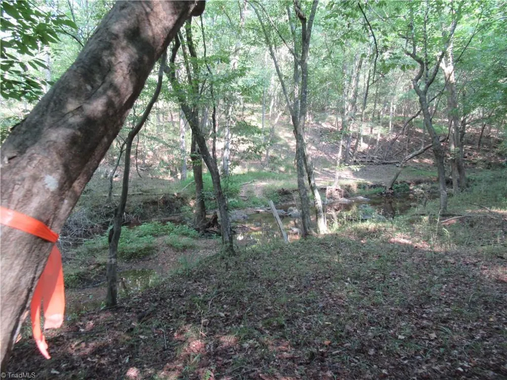 2643 Roberts Chapel Road Goldston, NC 27252