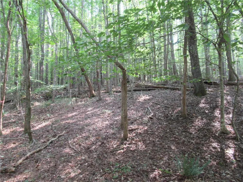 2643 Roberts Chapel Road Goldston, NC 27252